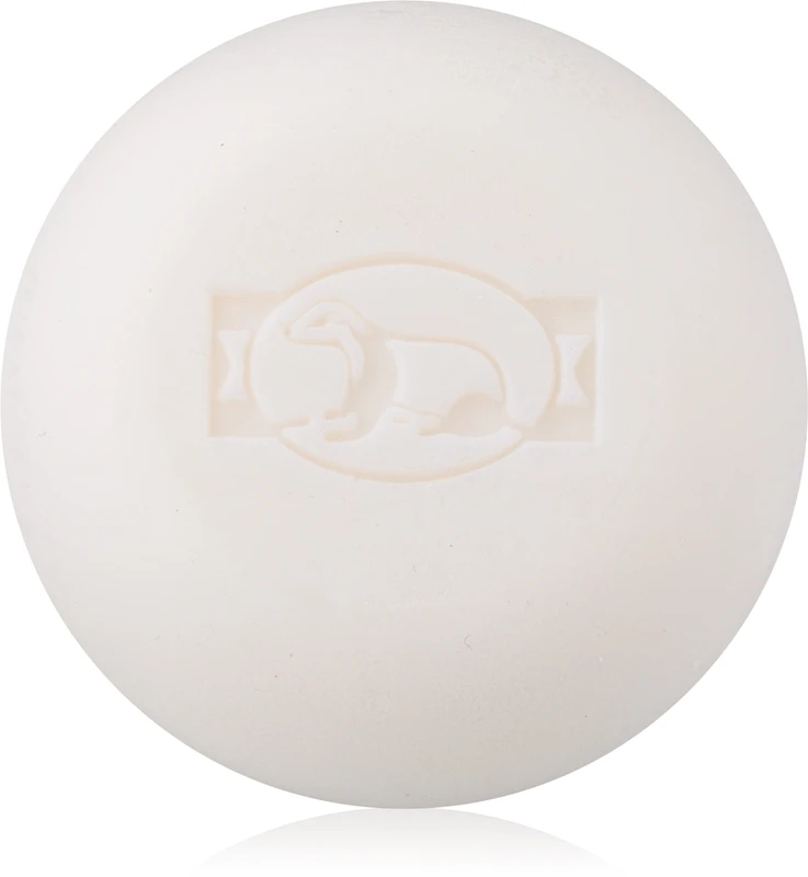 Golddachs Sport – Image 2